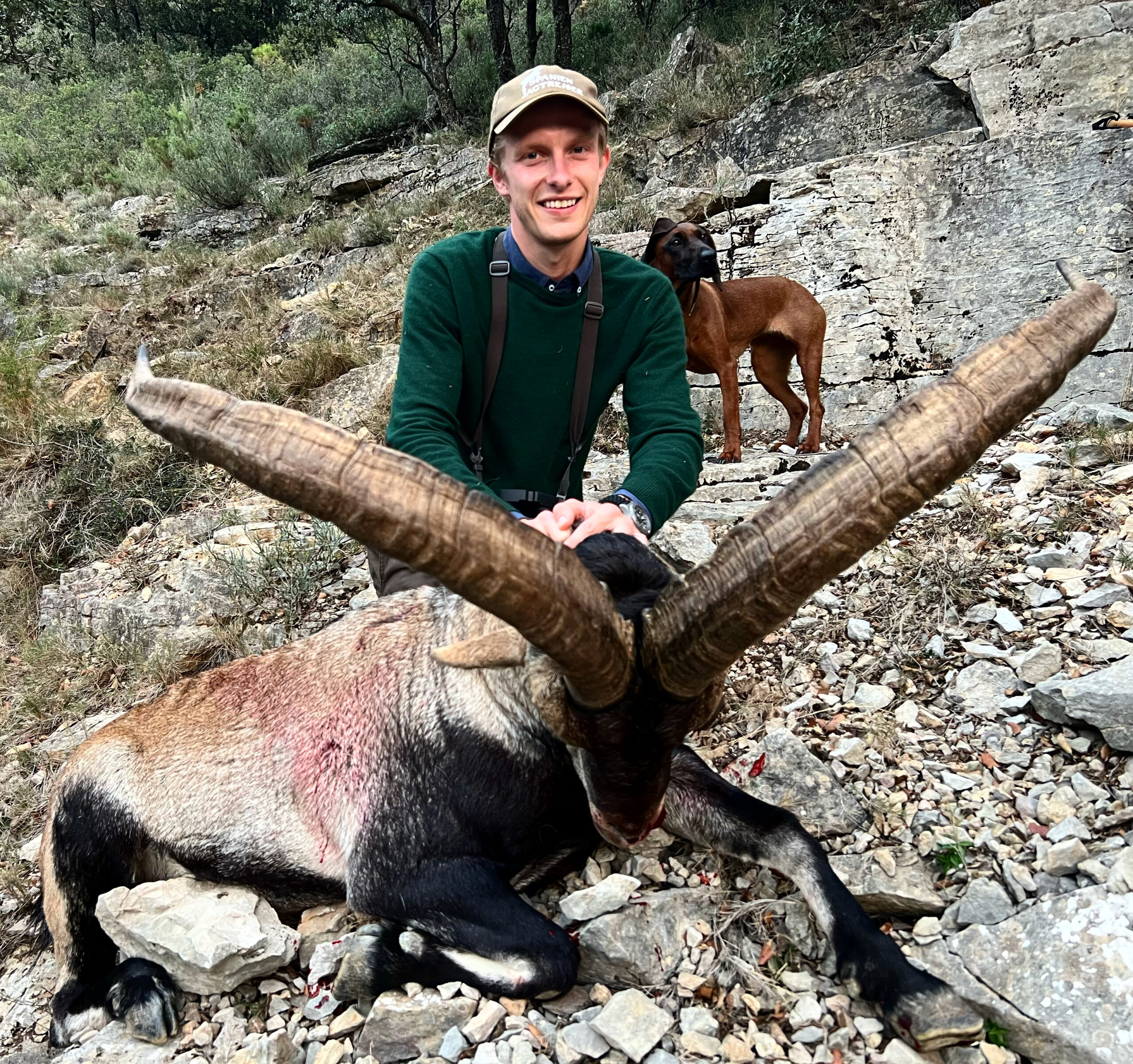 Conquering the Wild: A Hunter’s Guide to Pursuing the Majestic Beceite Ibex