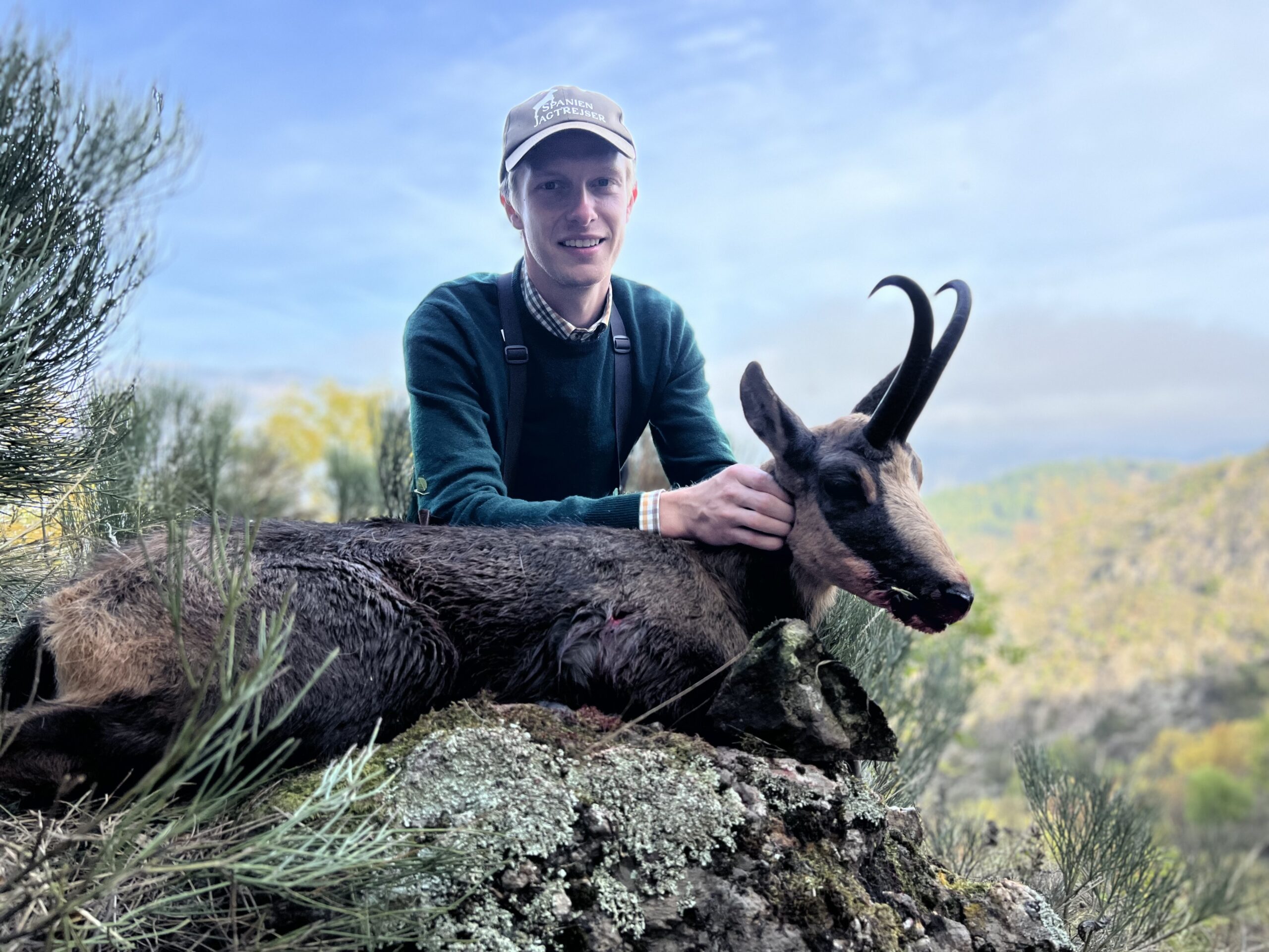 Chasing Shadows: The Thrilling Pursuit of Pyrenean Chamois