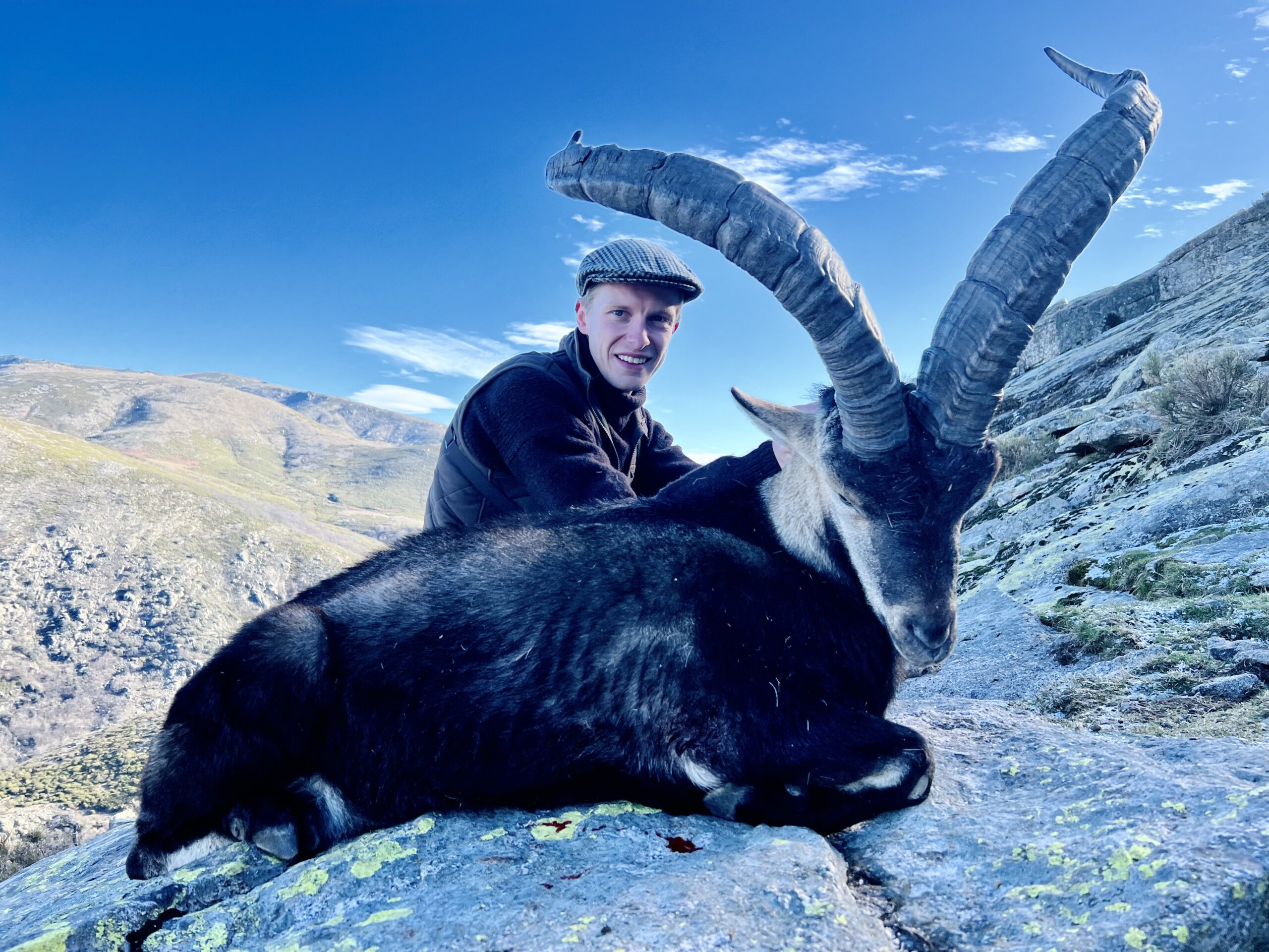 Conquering the Peaks: Hunting the Majestic Gredos Ibex